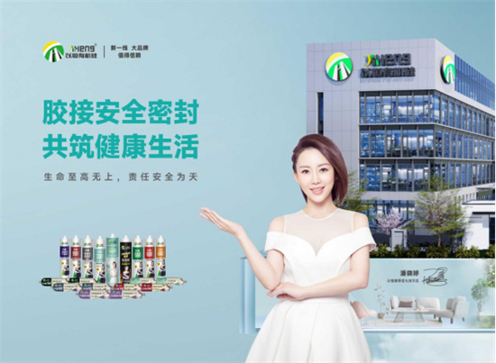 昭通DDPAY钱包官方网站有机硅：安全胶筑梦，智造行业新标杆